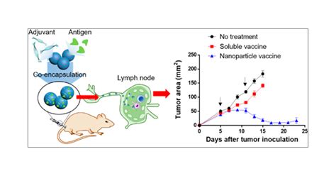 Silica Nanoparticle As A Lymph Node Targeting Platform For Vaccine