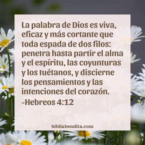 Explicación Hebreos 4 12 La palabra de Dios es viva eficaz y más