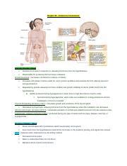 Chapter 38 Endocrine Assessment Docx Chapter 38 Endocrine