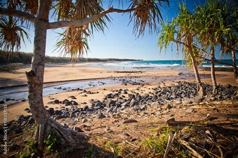 Mon Repos Beach Bundaberg Queensland Australia Stock Photo Adobe Stock