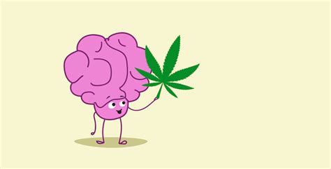 How CBD Affects The Brain The Neurological Effects Of CBD Mindful