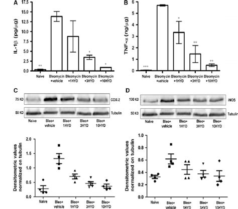 Determination Of Pro Inflammatory Markers A And B Analysis Of Il B