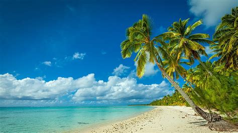 Hd Wallpaper Coconut Trees Tropical Sailboats Beach Boracay