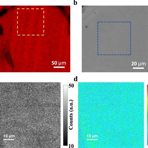 Pl Intensity And Recombination Lifetime Mapping For Ferroelastic