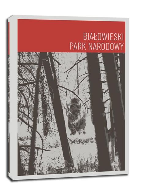 Obraz na płótnie GALERIA PLAKATU Parki Narodowe Bialowieża red