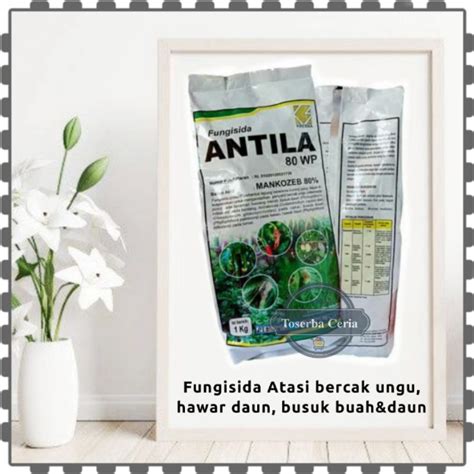 Jual Fungisida Antila 80wp Mankozeb Cegah Jamur Busuk Buah Hawar Daun