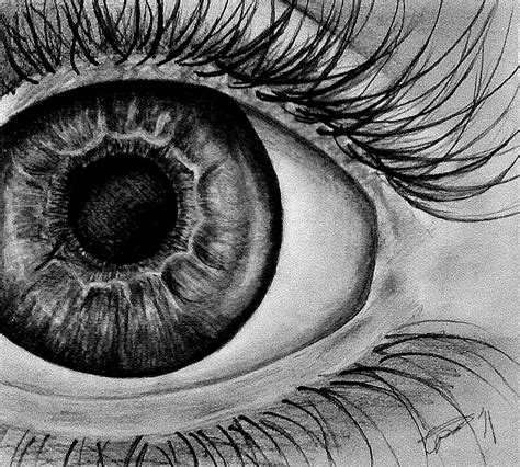 pencil eye  gamercolyn  newgrounds