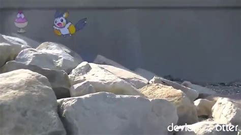 Hot Otters Having Fun Outside Gay Pissing Porn At ThisVid Tube