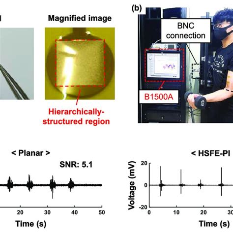 EMG signal acquisition using planar electrode and HSFE-PI. (a ...