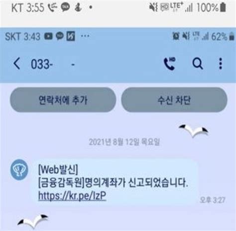 금감원 사칭 보이스피싱 문자 무작위 배포 소비자경보 발령 네이트 뉴스