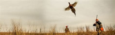 Pheasant Hunting Clothing What To Wear When Pheasant Hunting