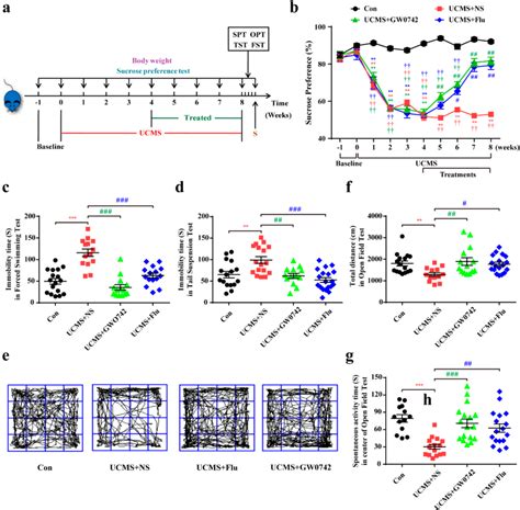 Figure From Activating Ppar Protects Against Endoplasmic Reticulum