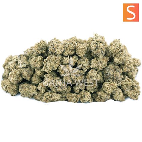 Cherry Lime Haze Craft Sativa Ganja West Online DispensaryCanada