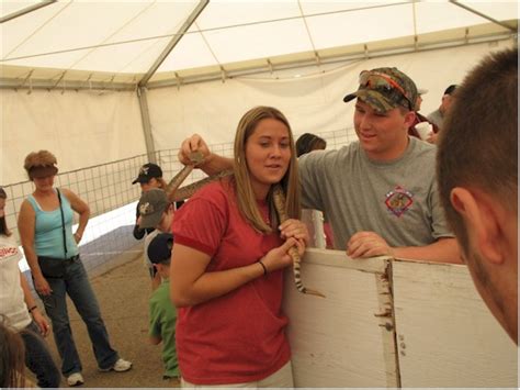 Okeene Rattlesnake Roundup 2008