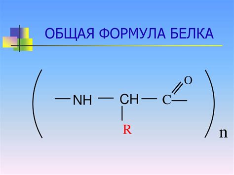 Белки - online presentation