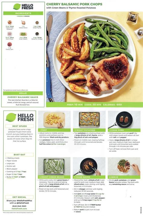 Ninja Foodi Cold Hot Blender Guide Artofit