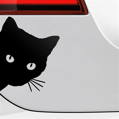 Adesivo Auto Gatto Curioso StickersMurali