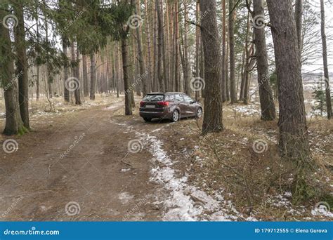 Brown Car Parked By A Forest Path Stock Image Image Of Beautiful