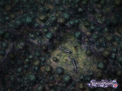 Clearing In The Woods Map 40x30 Im Preparing For My Group To Enter