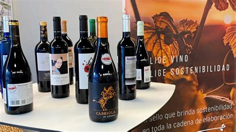 Circe Centro Tecnológico 16 bodegas ya cuentan con el sello Ecoprowine