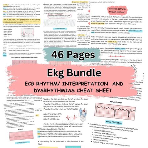 Ekg Interpretation Ekg Nursing Bundle Dysrhythmia And Ecg Interpretation