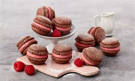 Schoko Macarons Rezept Dr Oetker