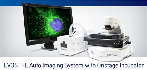 Rmbf Evos Fl Auto Live Cell Imaging System Core Facilities