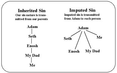 7. Survey of Bible Doctrine: Man and Sin | Bible.org