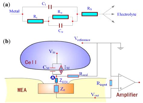 Biosensors Free Full Text Microfabricated Electrochemical Cell