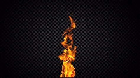 Fire On Alpha Stock Motion Graphics Motion Array