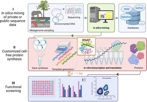 Outline Of A Functional Metagenomic Screening Approach Via In Vitro