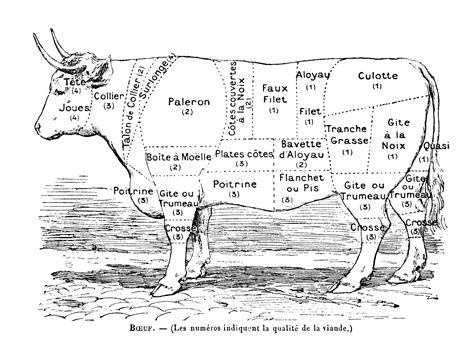 Boeuf Quel Morceau Choisir Recette De Boeuf Quel Morceau