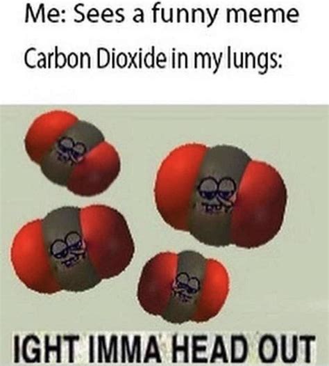 Dat Ass Spongebob