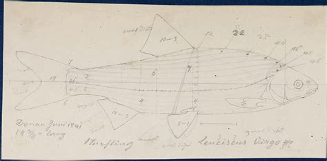 An Annotated Catalogue Of Selected Historical Type Specimens Including