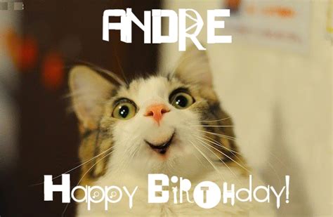 Funny Birthday for ANDRE Pics.