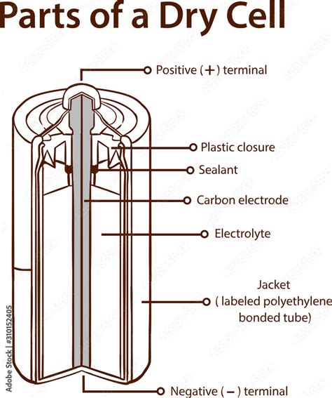 Parts of a Dry cell battery. stock illustration Battery, Inside Of ...