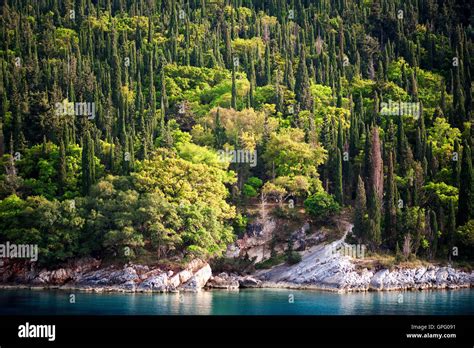 Greece Cypress Hi Res Stock Photography And Images Alamy