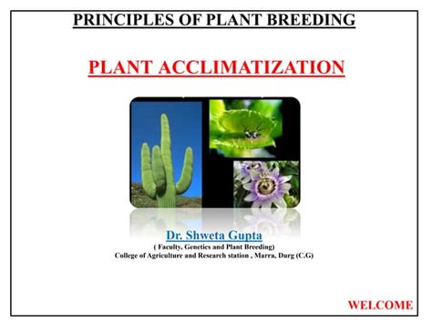 Plant Acclimatization | PPT