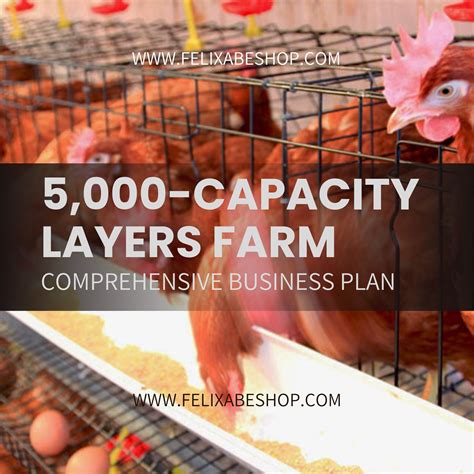 Capacity Layers Farm Business Plan Felixabeshop