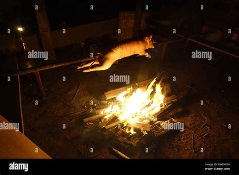 Spit Roasting Hi Res Stock Photography And Images Alamy