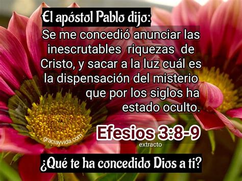 Las Inescrutables Riquezas De Cristo Gracia Y Vida Ef 3