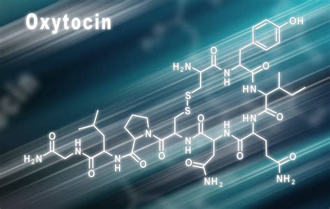La Oxitocina Y Su Relaci N Con La Confianza Y El Miedo Amadag