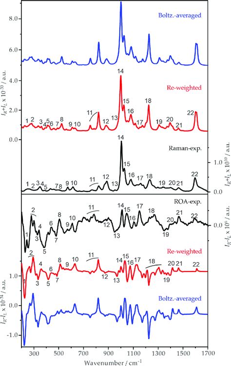 Comparison of the experimental Raman and ROA spectra of ph β glu in