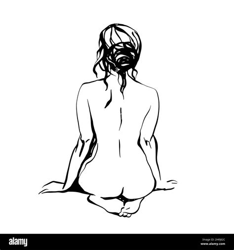 Beautiful Sensual Nude Female Beauty Black And White Print Sketch Art Stock Vector Image Art