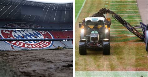 Rasen in der Allianz Arena wird erneuert Ein Geschenk für WM