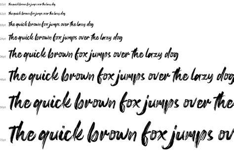 Peteroy Font By Letterena Studios Fontriver