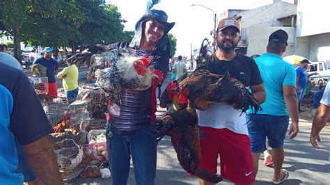 Feira Da Galinha Da Linha Do Treem Vanio O Rei Do Pav O