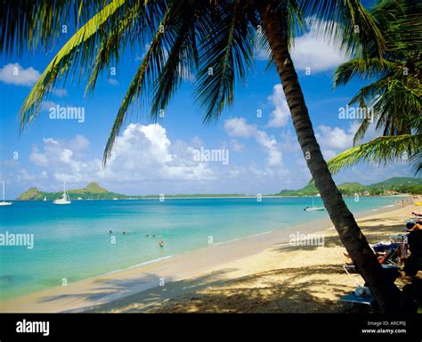 Reduit Beach, St. Lucia, West Indies Stock Photo - Alamy