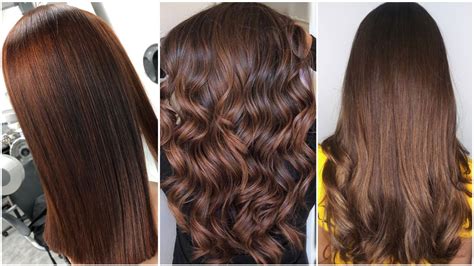 Каштановый цвет волос: самые красивые оттенки, 60 фото окрашивания