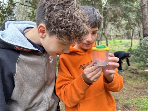 ExcursiÓn Del Proyecto De EducaciÓn Ambiental ”brotes” Ies El Tanque